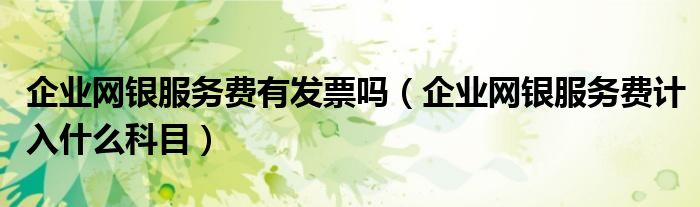 企业网银服务费有发票吗（企业网银服务费计入什么科目）