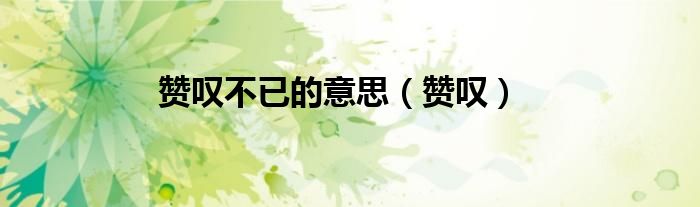 赞叹不已的意思（赞叹）