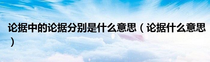 论据中的论据分别是什么意思（论据什么意思）