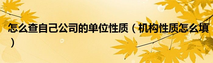 怎么查自己公司的单位性质（机构性质怎么填）