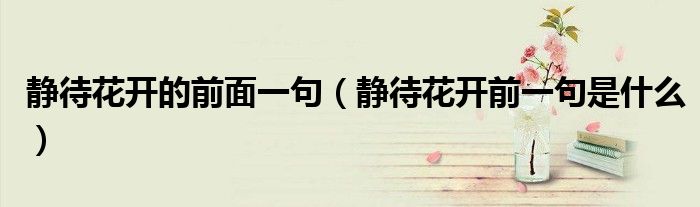 静待花开的前面一句（静待花开前一句是什么）