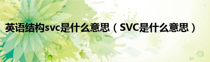 英语结构svc是什么意思（SVC是什么意思）