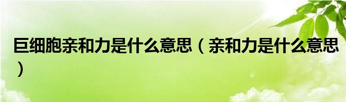 巨细胞亲和力是什么意思（亲和力是什么意思）