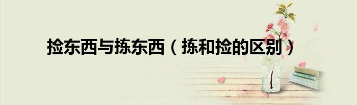 捡东西与拣东西（拣和捡的区别）