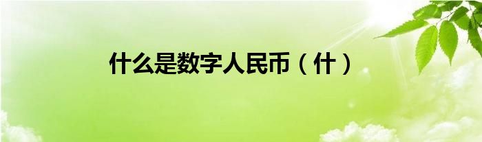 什么是数字人民币（什）