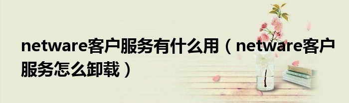 netware客户服务有什么用（netware客户服务怎么卸载）