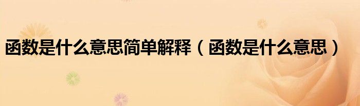 函数是什么意思简单解释（函数是什么意思）