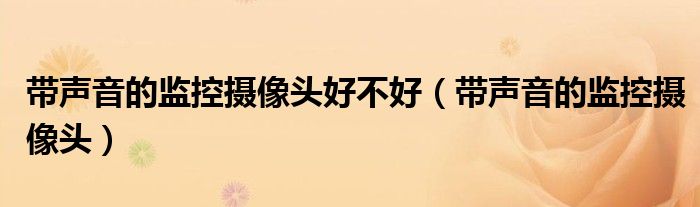 带声音的监控摄像头好不好（带声音的监控摄像头）