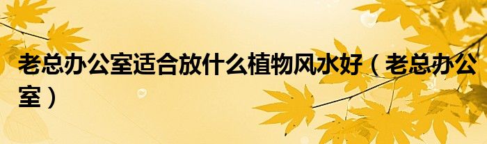 老总办公室适合放什么植物风水好（老总办公室）