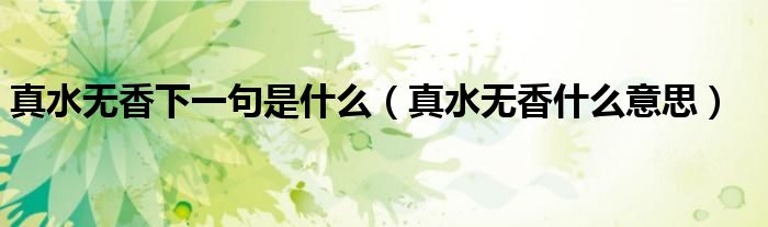真水无香下一句是什么（真水无香什么意思）