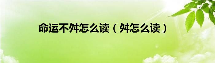 命运不舛怎么读（舛怎么读）