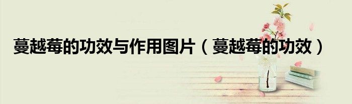 蔓越莓的功效与作用图片（蔓越莓的功效）