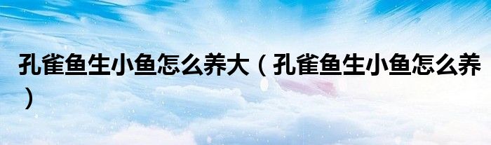 孔雀鱼生小鱼怎么养大（孔雀鱼生小鱼怎么养）