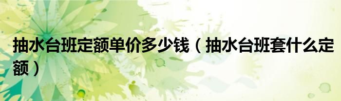 抽水台班定额单价多少钱（抽水台班套什么定额）