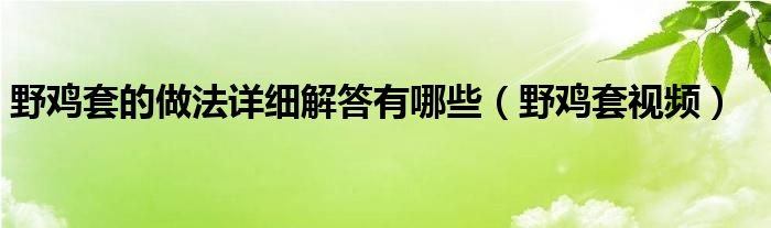 野鸡套的做法详细解答有哪些（野鸡套视频）
