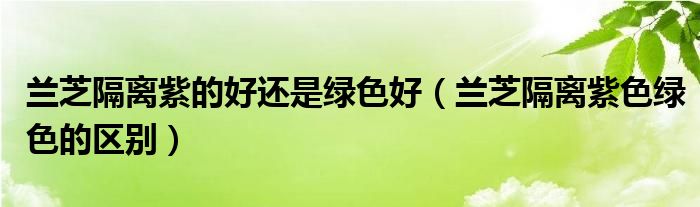 兰芝隔离紫的好还是绿色好（兰芝隔离紫色绿色的区别）