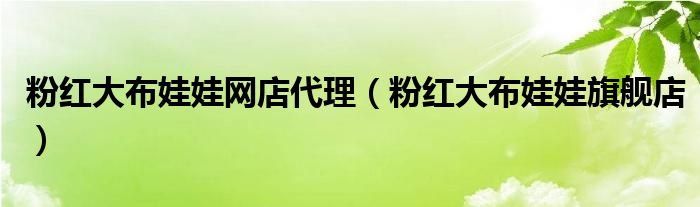 粉红大布娃娃网店代理（粉红大布娃娃旗舰店）