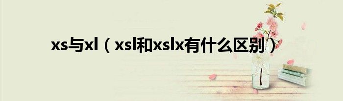 xs与xl（xsl和xslx有什么区别）