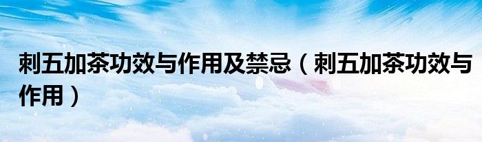 刺五加茶功效与作用及禁忌（刺五加茶功效与作用）