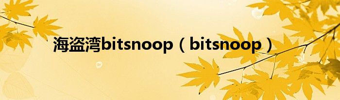海盗湾bitsnoop（bitsnoop）