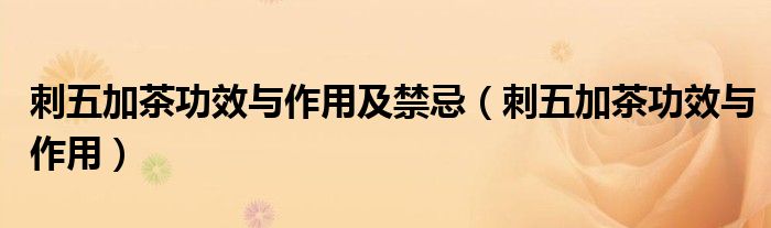 刺五加茶功效与作用及禁忌（刺五加茶功效与作用）