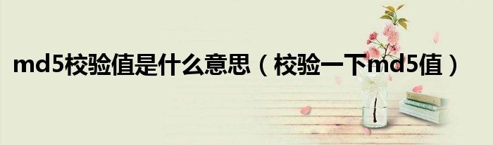 md5校验值是什么意思（校验一下md5值）