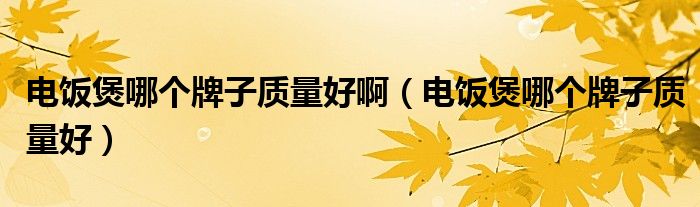 电饭煲哪个牌子质量好啊（电饭煲哪个牌子质量好）