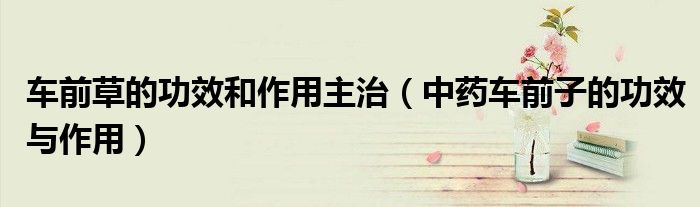 车前草的功效和作用主治（中药车前子的功效与作用）