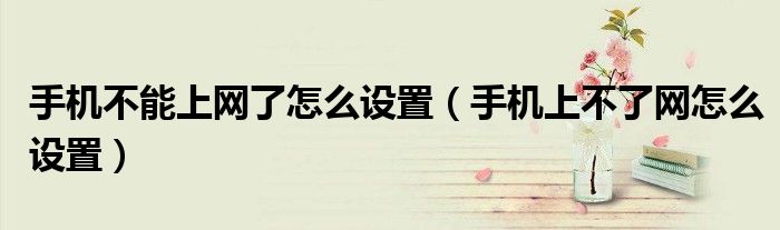 手机不能上网了怎么设置（手机上不了网怎么设置）