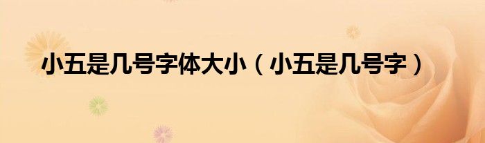 小五是几号字体大小（小五是几号字）