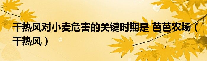 干热风对小麦危害的关键时期是 芭芭农场（干热风）