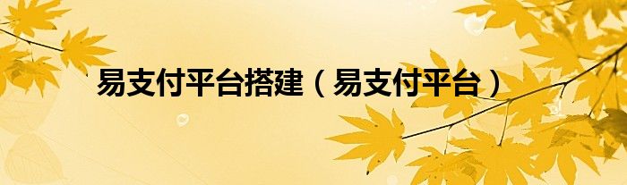 易支付平台搭建（易支付平台）