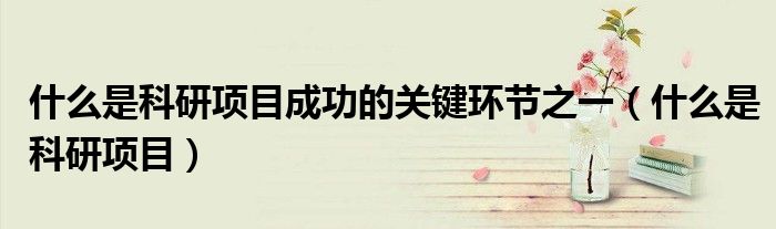 什么是科研项目成功的关键环节之一（什么是科研项目）