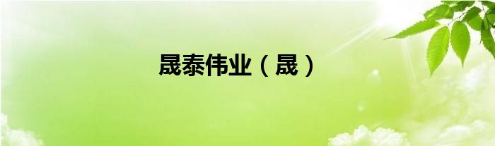 晟泰伟业（晟）