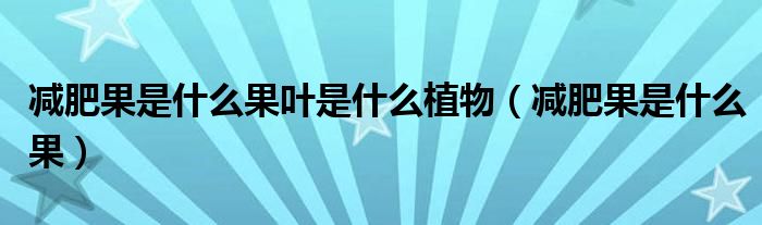 减肥果是什么果叶是什么植物（减肥果是什么果）