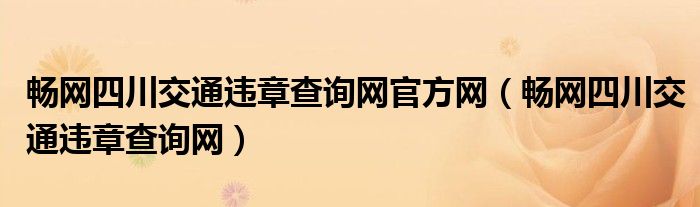 畅网四川交通违章查询网官方网（畅网四川交通违章查询网）