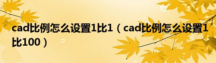 cad比例怎么设置1比1（cad比例怎么设置1比100）