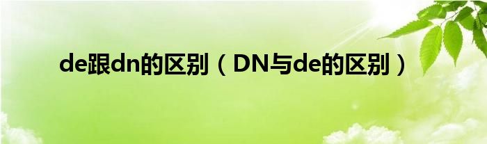 de跟dn的区别（DN与de的区别）