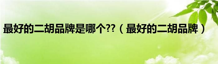 最好的二胡品牌是哪个??（最好的二胡品牌）