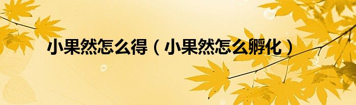 小果然怎么得（小果然怎么孵化）