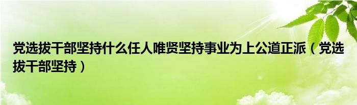 党选拔干部坚持什么任人唯贤坚持事业为上公道正派（党选拔干部坚持）