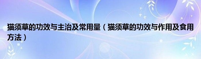 猫须草的功效与主治及常用量（猫须草的功效与作用及食用方法）