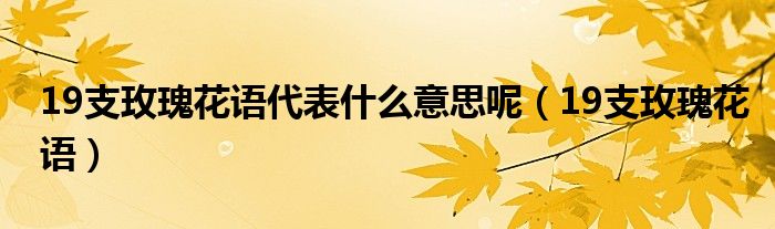 19支玫瑰花语代表什么意思呢（19支玫瑰花语）