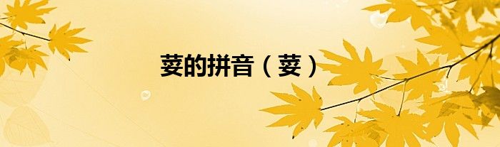 荽的拼音（荽）
