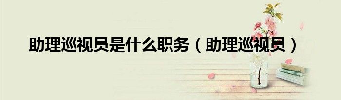 助理巡视员是什么职务（助理巡视员）