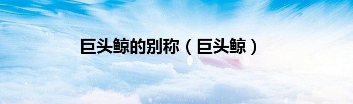 巨头鲸的别称（巨头鲸）