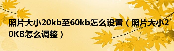 照片大小20kb至60kb怎么设置（照片大小20KB怎么调整）