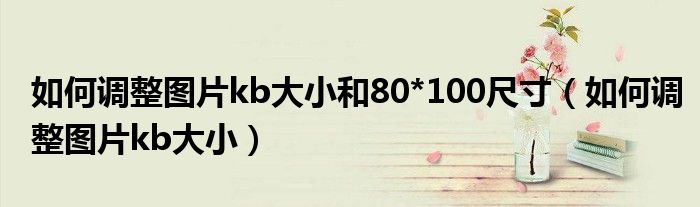 如何调整图片kb大小和80*100尺寸（如何调整图片kb大小）