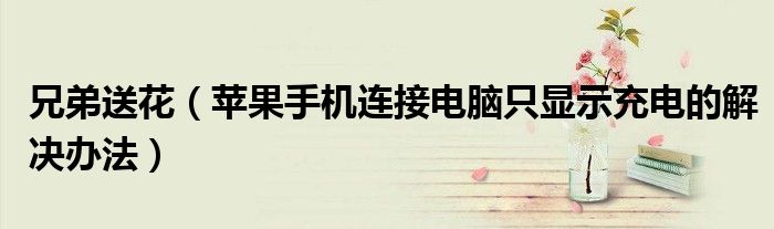兄弟送花（苹果手机连接电脑只显示充电的解决办法）