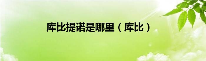 库比提诺是哪里（库比）